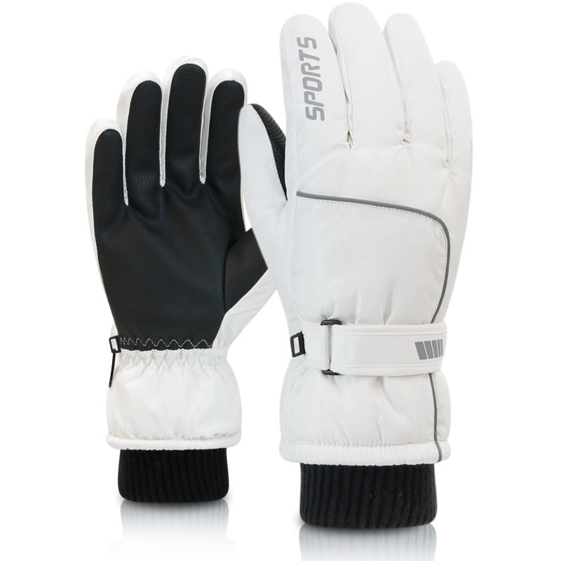 Professionele winterwarme skih - Ski Glove Waterproof recensie en prijs